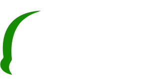 Martruck Pojazdy Specjalne sprzedaż wynajem serwis